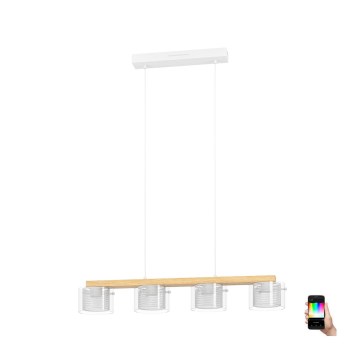 Eglo - Suspension filaire RGBW à intensité variable 4xLED/3,7W/230V 2700-6500K