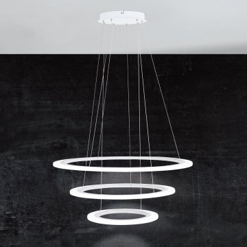 Eglo - Suspension LED dimmable sur câble LED/45W/230V + LED/33W + LED/19,5W