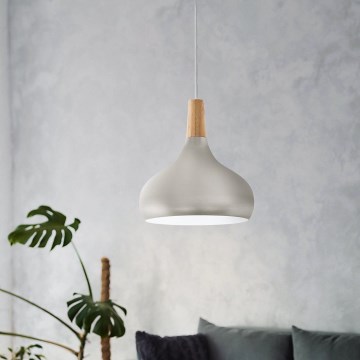 Eglo - Suspension sur câble 1xE27/60W/230V Ø 28 cm argentée