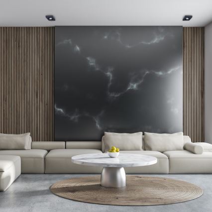 Einbau-Spotleuchte NUSA 1xGU5,3/MR16/50W/12V eckig schwarz