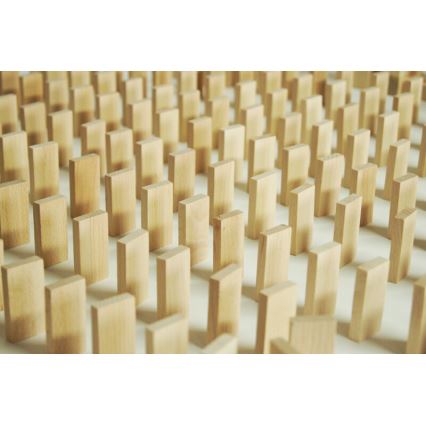EkoToys - Holz-Dominos 830 Stk. Buche