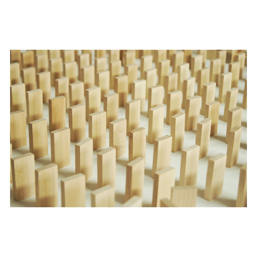 EkoToys - Holz-Dominos 830 Stk. Buche