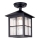 Elstead BL18A-BLACK - Lampadario da esterno fisso WINCHESTER 1xE27/100W/230V IP43