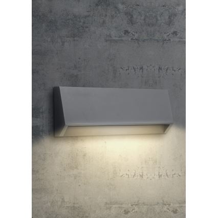 EMITHOR 48330 - Applique murale LED d'extérieur RADIX LED/2,9W/230V IP65