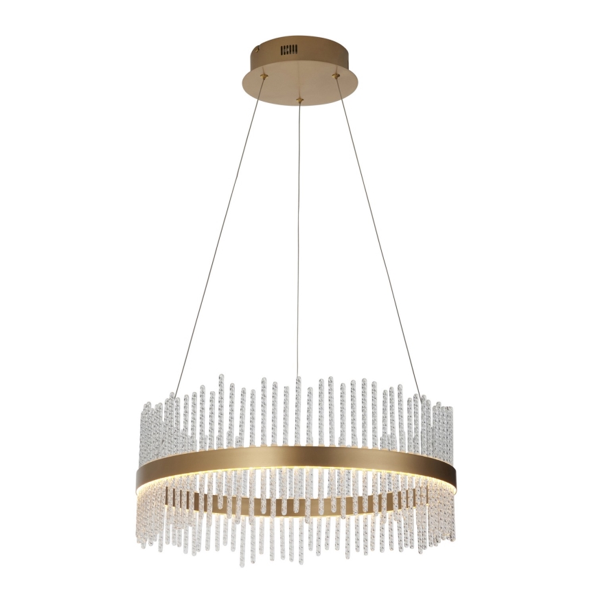 Endon 107671 - Lampadario a sospensione con filo LED dimmerabile ADRIEL LED/41W/230V 3000K diametro 51 cm oro/limpido