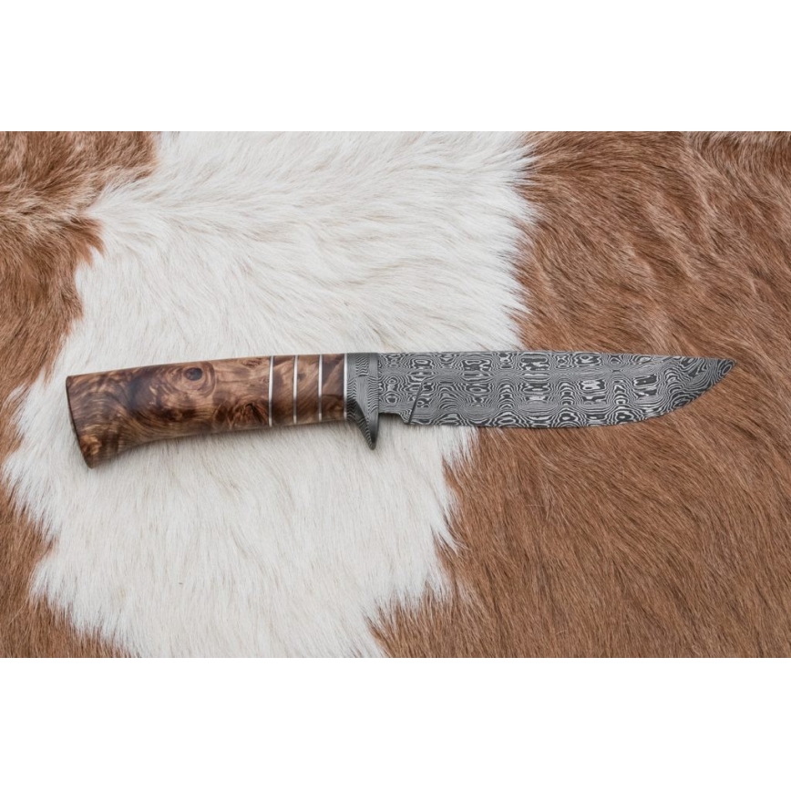 Esclusivo coltello Damasco 14,4 cm castagno/dente di mammut