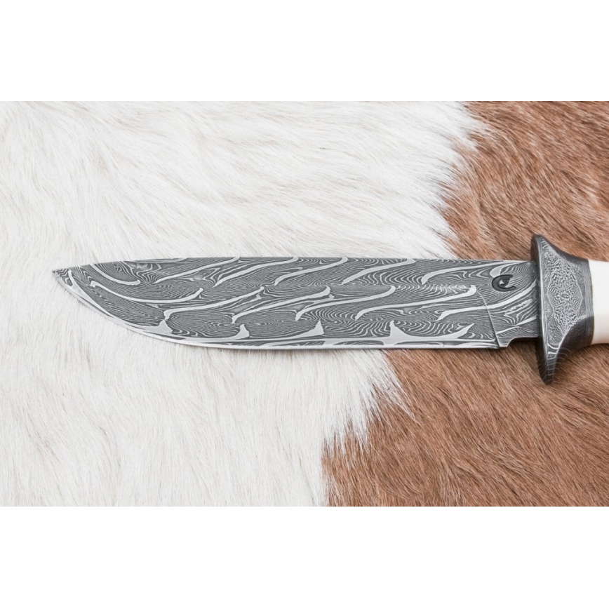 Esclusivo coltello Damasco 15 cm zanna di mammut