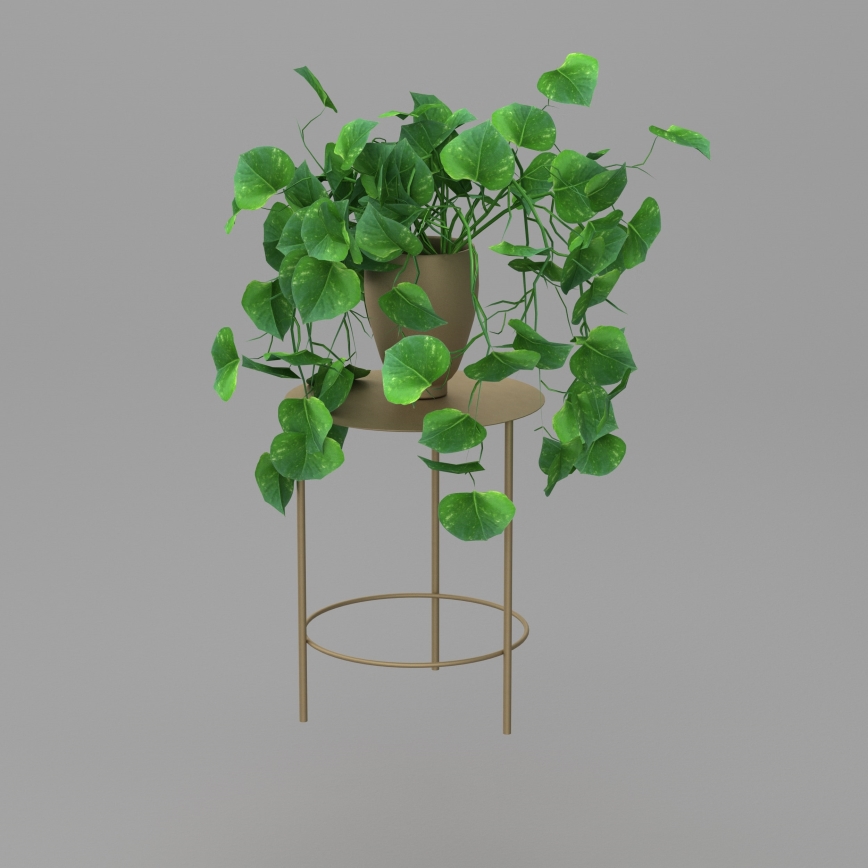 Étagère à plantes 40x32 cm doré