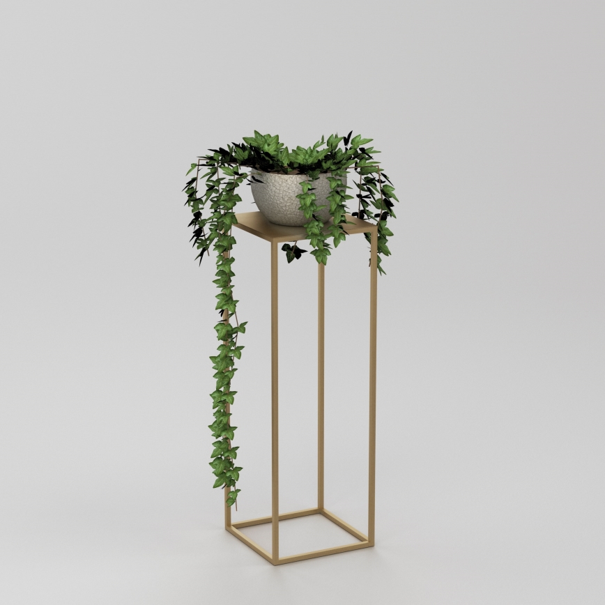 Étagère à plantes 70x24 cm doré