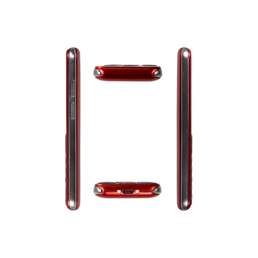 Evolveo - EasyPhone LT, telefono cellulare 4G per anziani rosso