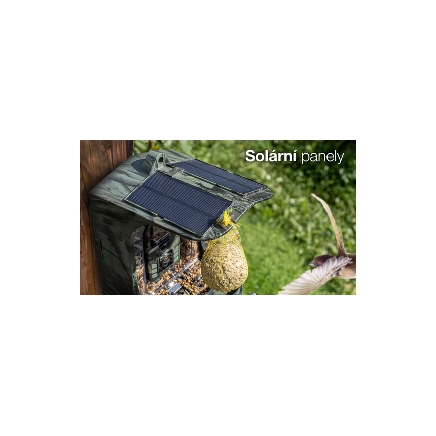 Evolveo - StrongVision BirdFeeder - Mangeoire intelligente pour oiseaux dotée d'une caméra et de panneaux solaires