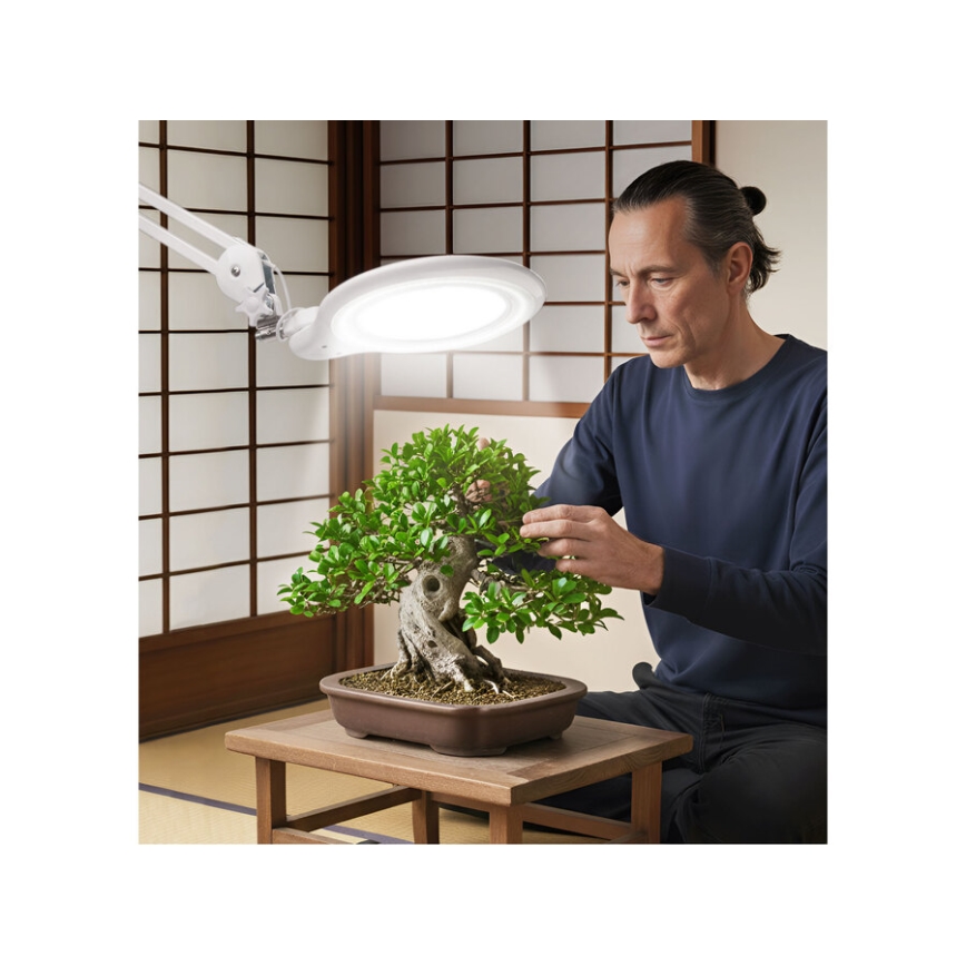 Extol - LED-dimmbare Schreibtischlampe mit Lupe LED/10W/230V weiß