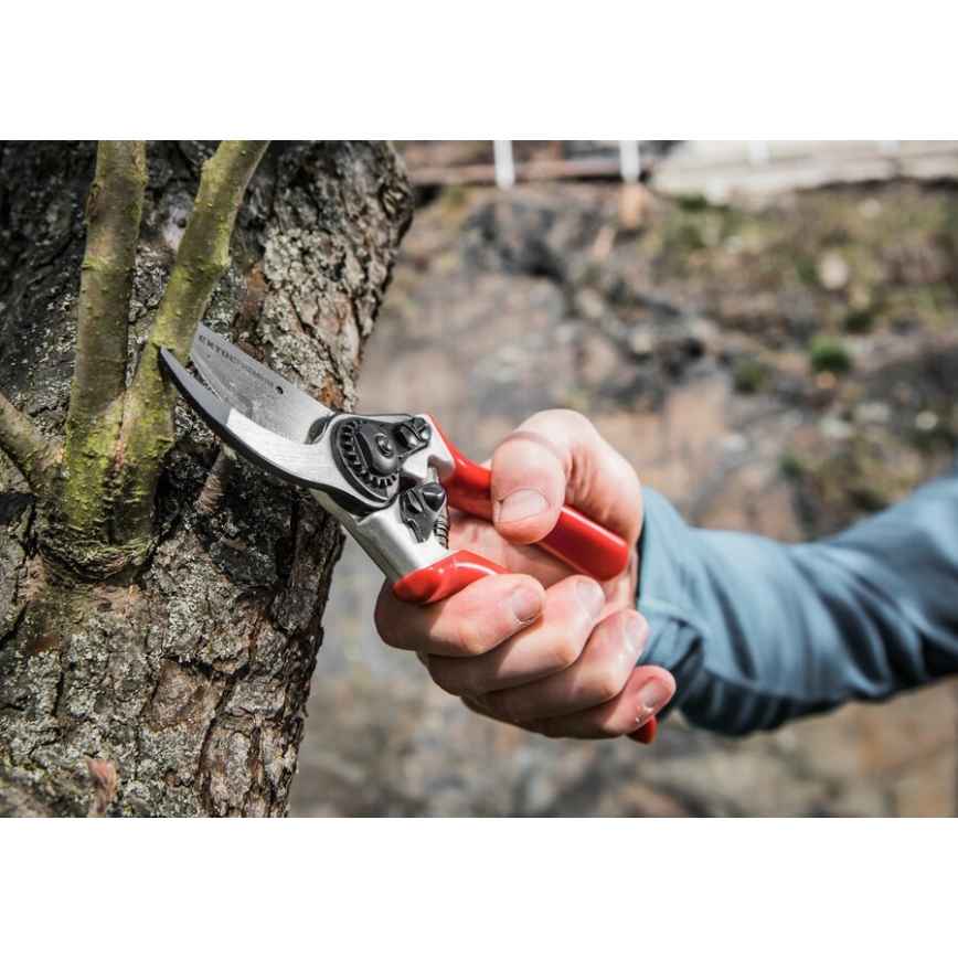 Extol Premium - Gartenschere 215 mm
