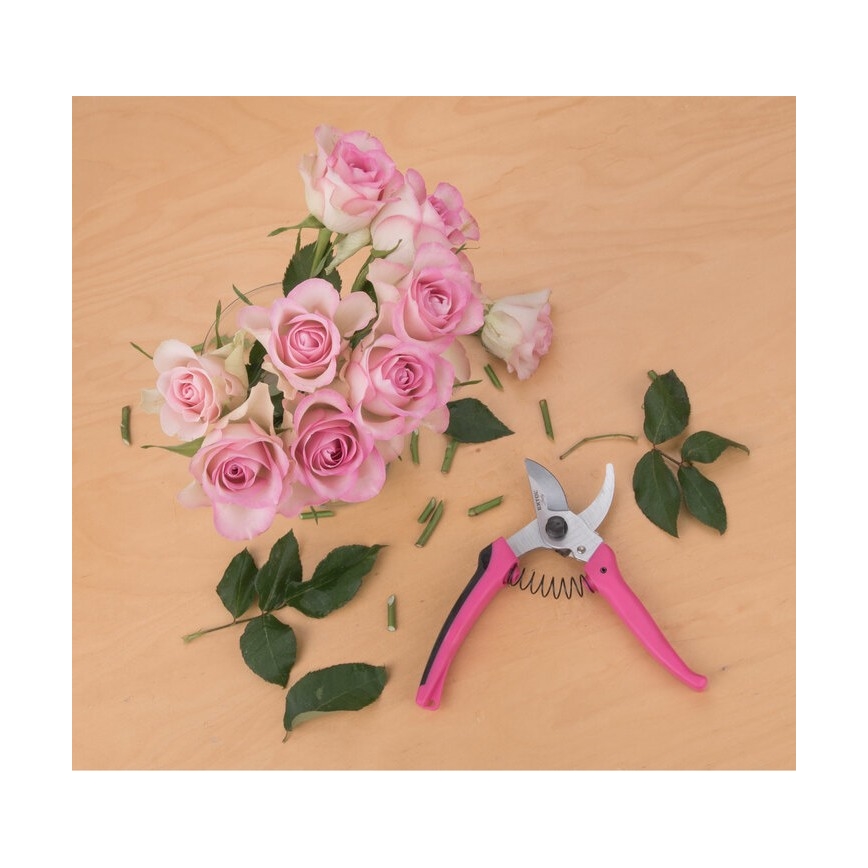 Extol - Sécateur de jardinage pour fleurs 180 mm