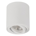 Faretto BORD ONE 1xGU10/10W/230V bianco