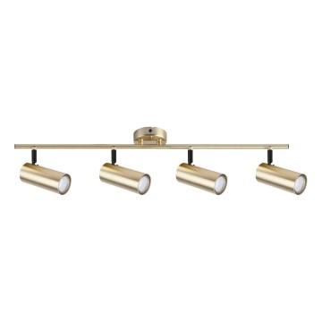 Faretto COLLY 4xGU10/15W/230V oro