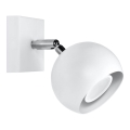 Faretto da parete OCULARE 1xGU10/10W/230V