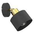 Faretto da parete PARKLA 1xE27/15W/230V nero/oro