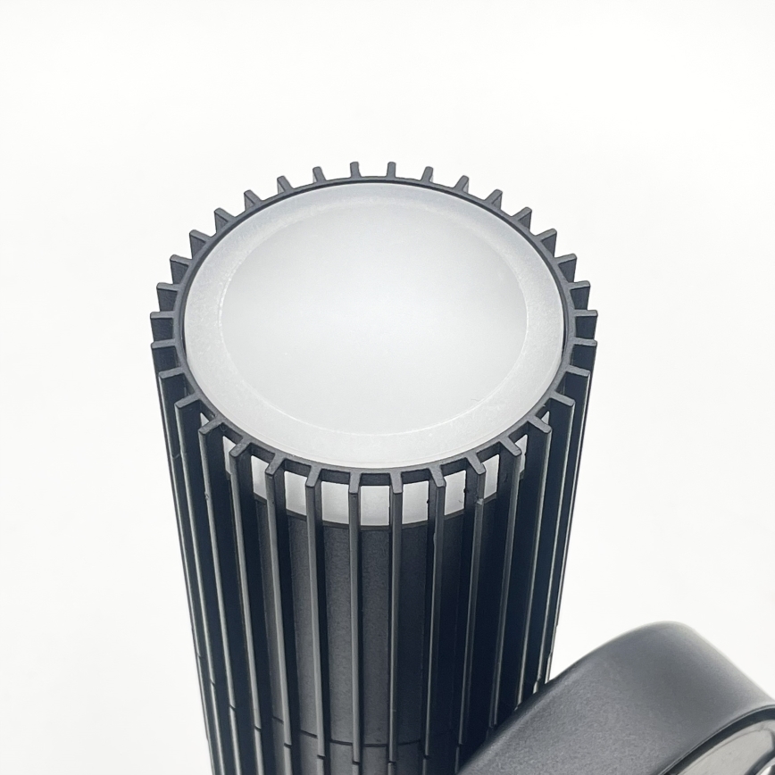 Faretto da parete per esterni LANTHEA 2xGU10/11W/230V IP44 nero