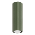 Faretto KARBON 1xGU10/10W/230V 20 cm verde