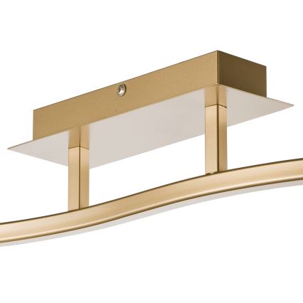 Faretto KLARA 2xE14/40W/230V oro