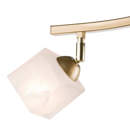 Faretto KLARA 3xE14/40W/230V oro