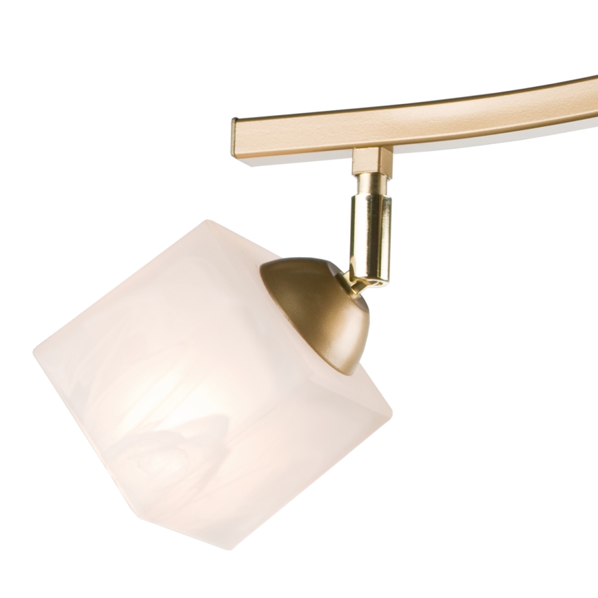Faretto KLARA 3xE14/40W/230V oro