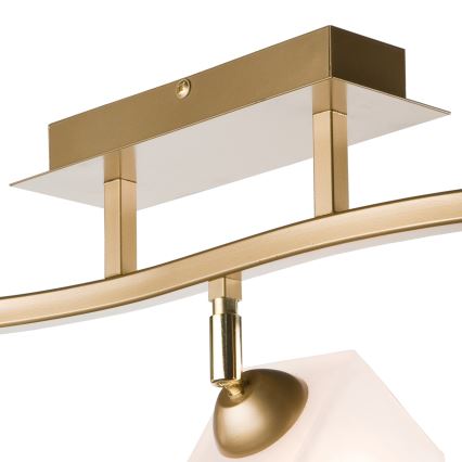 Faretto KLARA 3xE14/40W/230V oro