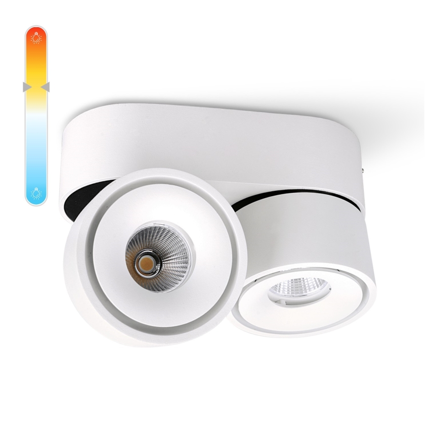 Faretto LED dimmerabile LAHTI MINI 2xLED/9W/230V 3000K CRI 90 bianco