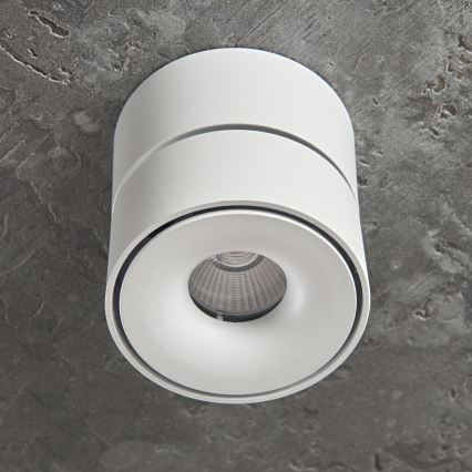 Faretto LED dimmerabile LAHTI MINI LED/9W/230V 3000K CRI 90 bianco