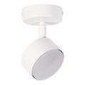 Faretto NEMO 1xGX53/12W/230V bianco