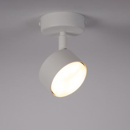 Faretto NEMO 1xGX53/12W/230V bianco