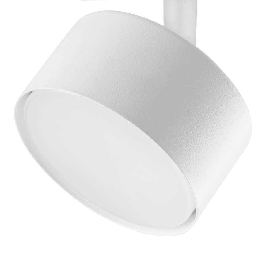 Faretto per sistema ferroviario monofase AVIA 1xGX53/15W/230V bianco