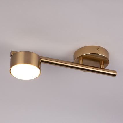 Faretto PUNTO 1xGX53/12W/230V oro