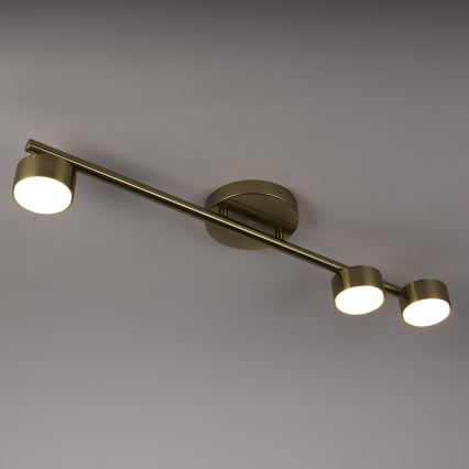 Faretto PUNTO 3xGX53/12W/230V oro