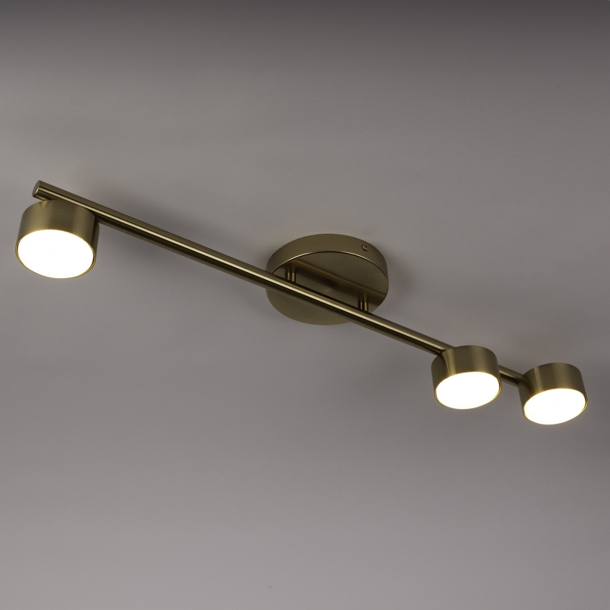 Faretto PUNTO 3xGX53/12W/230V oro