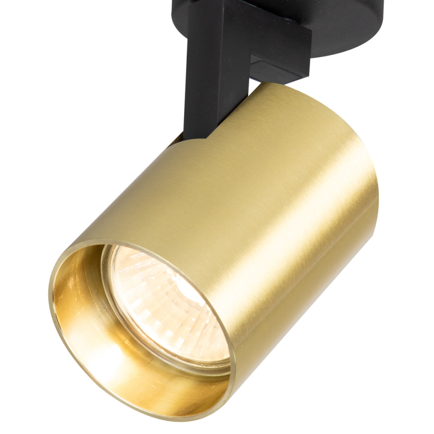 Faretto VOLF 1xGU10/10W/230V oro/nero