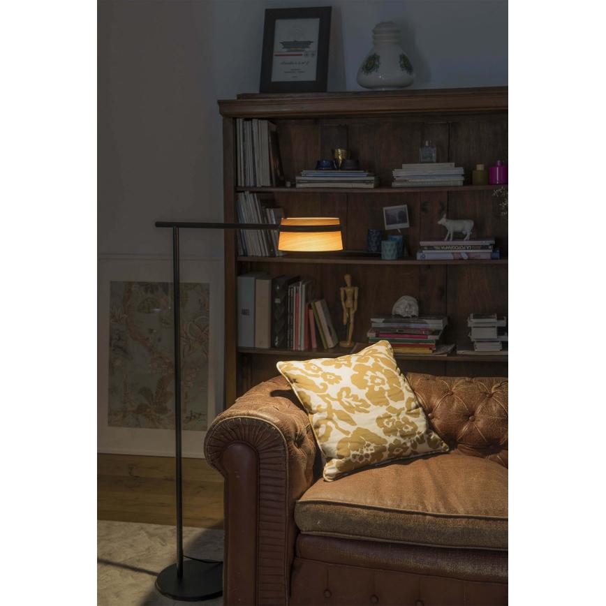 FARO 29569 - Lampada da terra LED dimmerabile LOOP LED/6W/230V