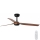 FARO 33817 - Ventilatore da soffitto PUNT marrone/nero + telecomando