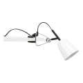 FARO 51135 - Lampada con morsetto STUDIO 1xE14/8W/230V
