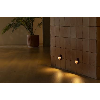 FARO 71962 - Lampada per scale LED DUNE LED/3W/230V 2200/2700/3200/4000K IP65 marrone rotonda