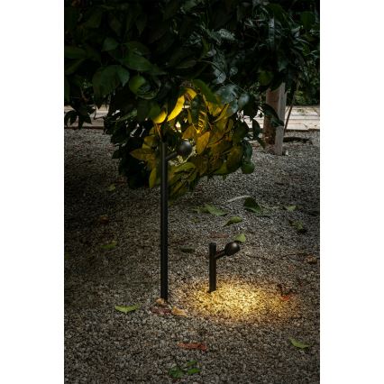 FARO 75570 - Lampada LED da esterno BROT LED/7W/230V 20 cm IP65