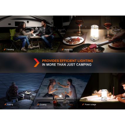 Fenix CL26RPROCAM - Lampada portatile ricaricabile LED dimmerabile LED/USB 650lm 408h IP66 grigio