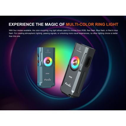 Fenix E06RGRY - Dimmbare, aufladbare LED-Taschenlampe UV LED/USB IP66 700 glänzend 60 h 750 mAh grau