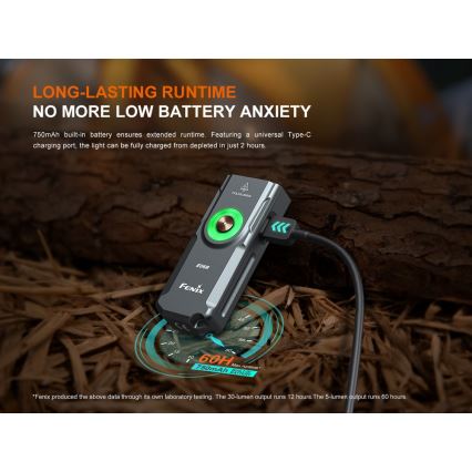 Fenix E06RGRY - Dimmbare, aufladbare LED-Taschenlampe UV LED/USB IP66 700 glänzend 60 h 750 mAh grau