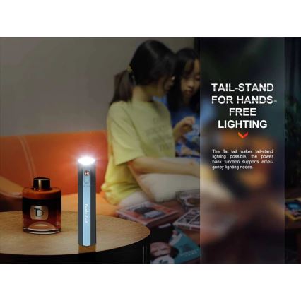 Fenix ECPBLCK - Lampe torche rechargeable avec batterie portative USB IP68 1600 lm 504 h noir