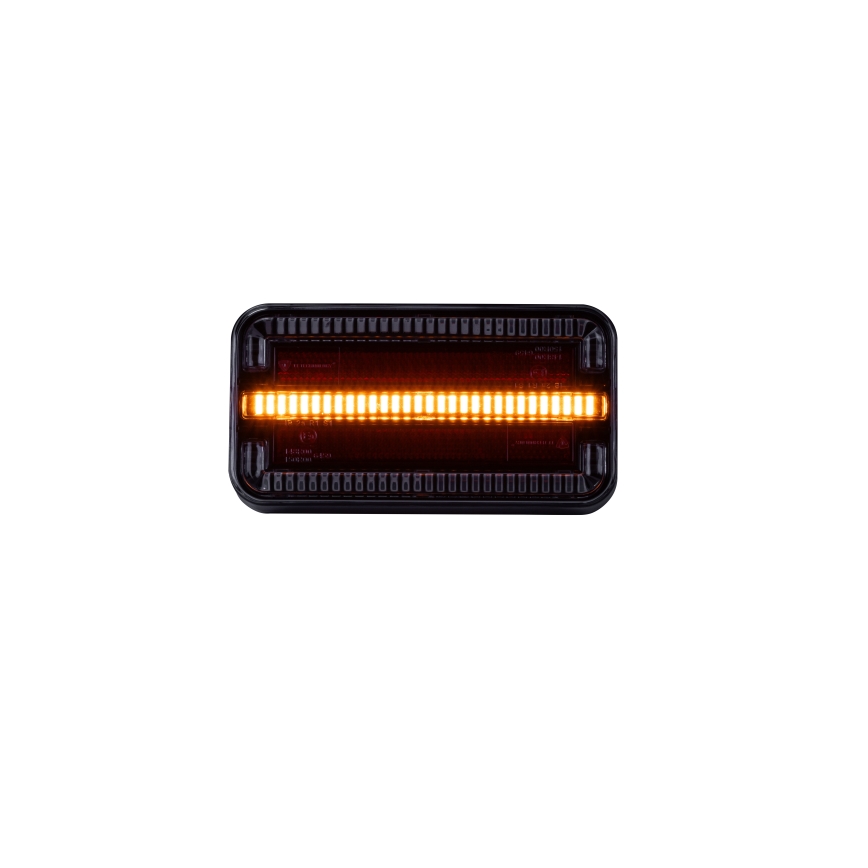 Feu combiné LED LED/12-24V IP65