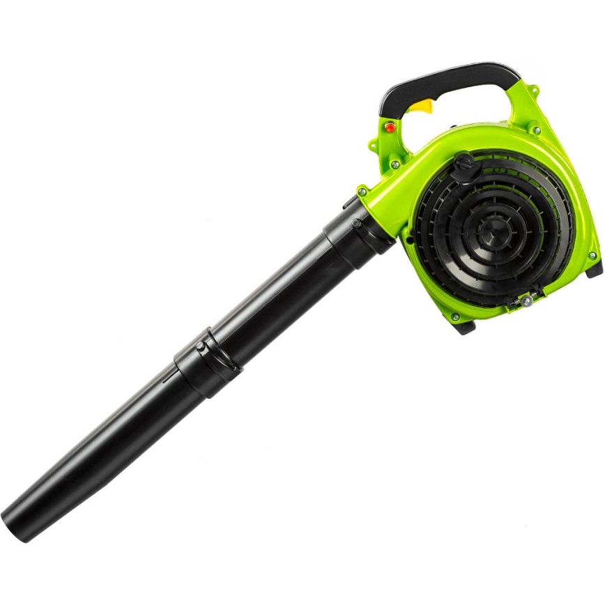 Fieldmann - Aspiratore da giardino a benzina 800W