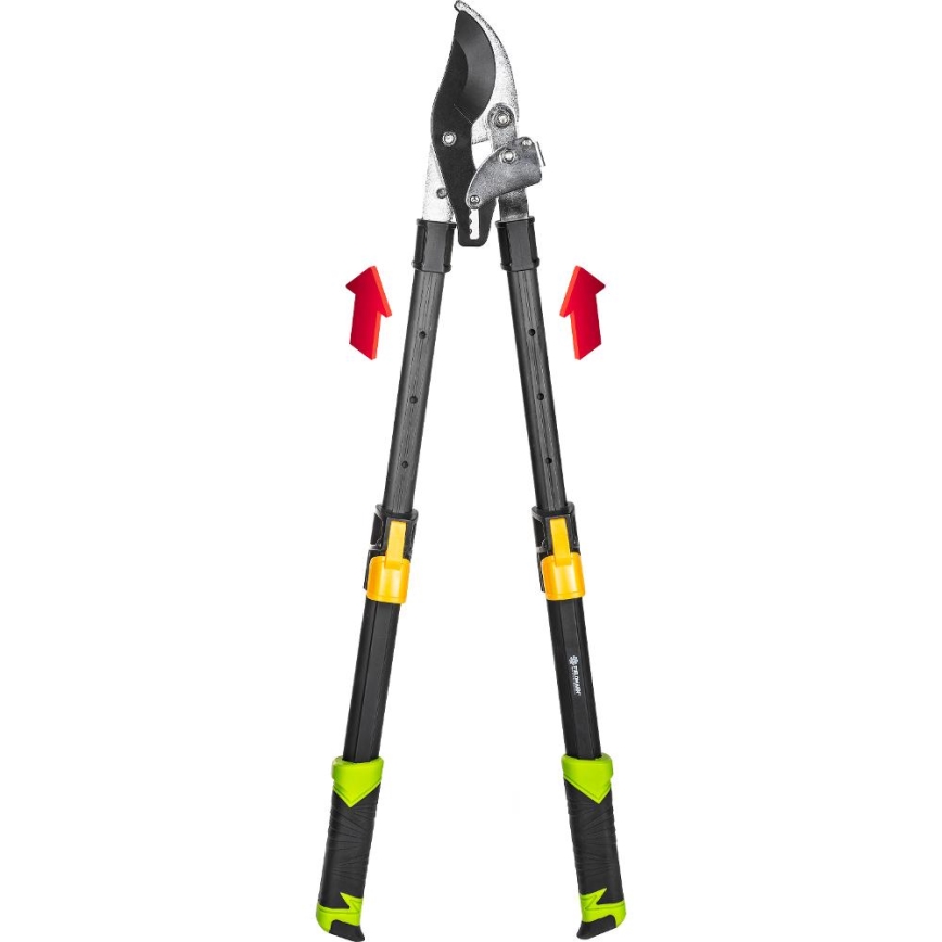 Fieldmann - Coupe-branches télescopiques à levier
