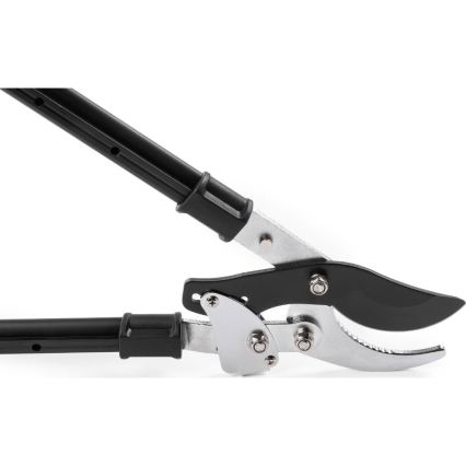 Fieldmann - Coupe-branches télescopiques à levier